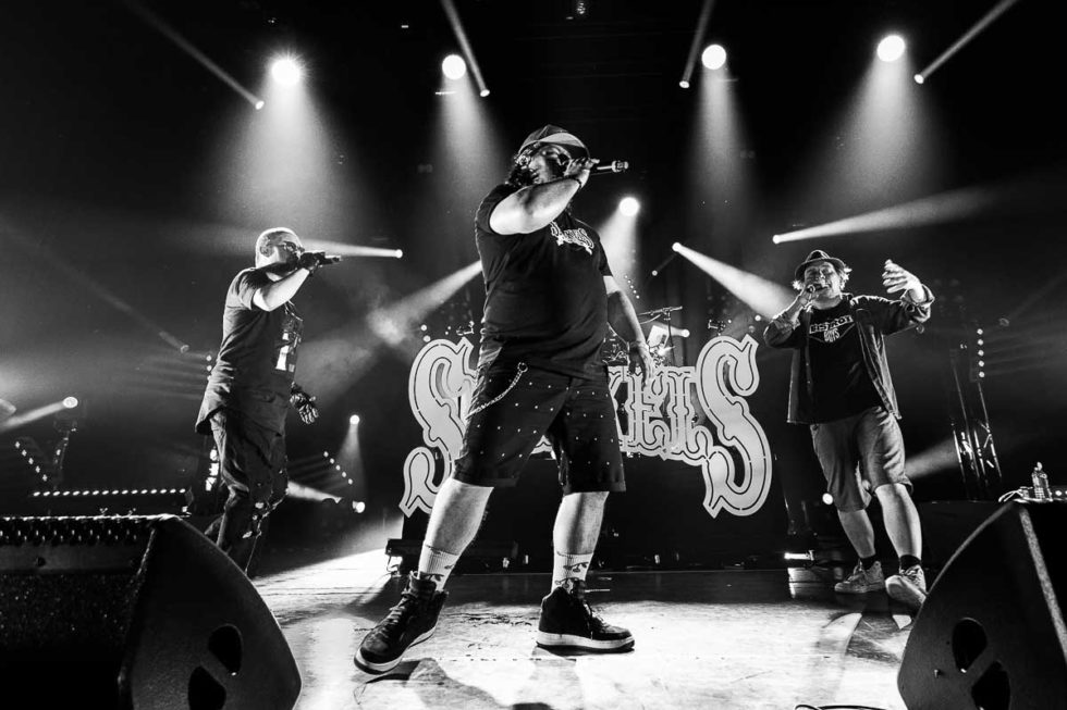 Svinkels - L'Olympia